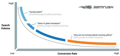 What are Long Tail Keywords? (Complete Guide with Examples)