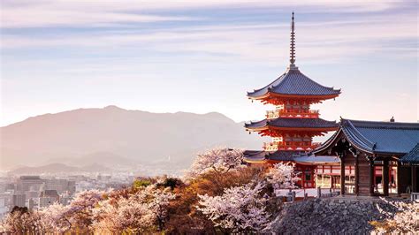 Sakura Guide: 10 Best Places To See Cherry Blossoms in Kyoto | byFood