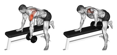 The One Arm Dumbbell Row: A Simple And Effective Upper Back Builder