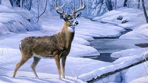 Deer Hunting Backgrounds - Wallpaper Cave