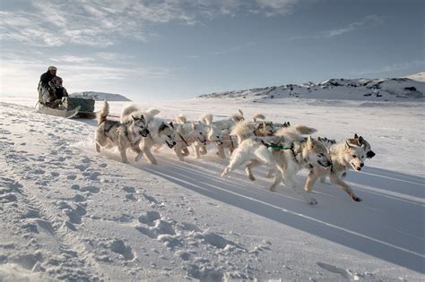 Los inuit: otra visión del mundo