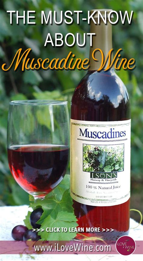 The Must-Know About Muscadine Wine - I Love Wine