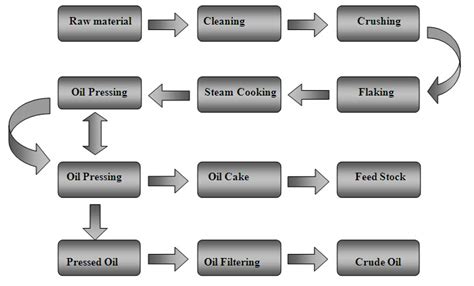 Oil Pressing Line for All Kinds of Oil Seeds