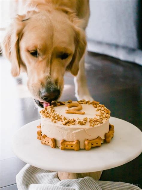 Pumpkin Dog Cake Recipe - If You Give a Blonde a Kitchen