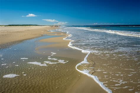 Schiermonnikoog travel | The Netherlands - Lonely Planet