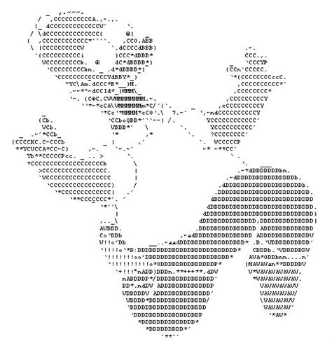 Random ASCII - ASCII ART Photo (33608695) - Fanpop