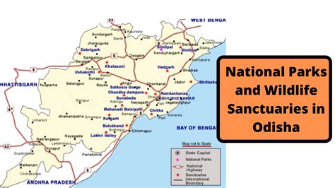 Complete List of National Parks & Wildlife Sanctuaries of Odisha ...