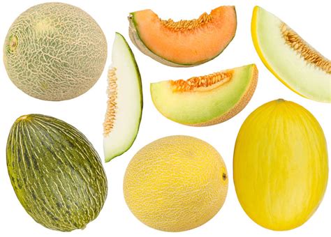 Melon Varieties: A Quick Guide