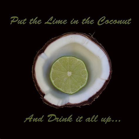 "Put the lime in the coconut " Posters by kelleybear | Redbubble