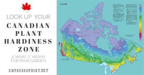 How to Find Your Canadian Plant Hardiness Zone — Empress of Dirt | Plant hardiness zone ...