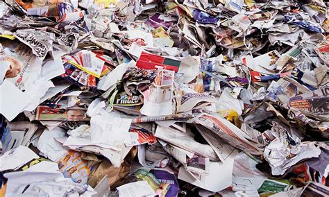 4 Impacts Of Waste Paper And How To Reduce It