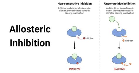 Allosteric Inhibition: Mechanism, Cooperativity, Examples