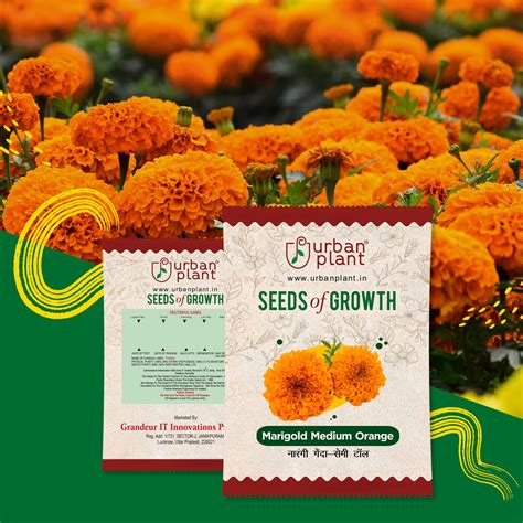 Marigold Medium Orange Flower Seeds