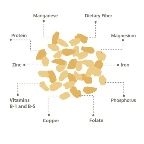 7 health benefits of White’s Oats | White's Oats | White's Oats