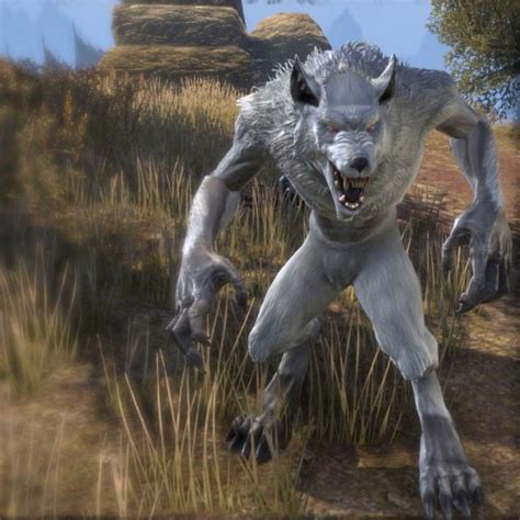 ESO guide: How to become white werewolf