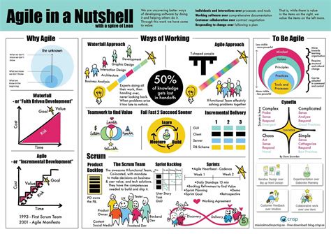 Agile Development is the Key to Internet Survival [INFOGRAPHIC] - Netsville