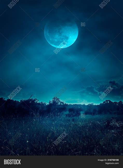 Landscape Dark Night Image & Photo (Free Trial) | Bigstock