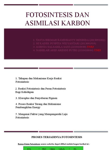 Fotosintesis Dan Asimilasi Karbon Pada Tumbuhan | PDF