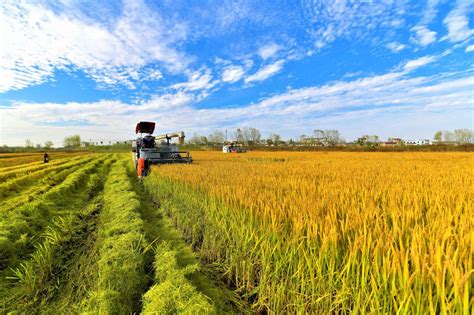 CPPCC agriculture committee innovates to address farm-related problems ...