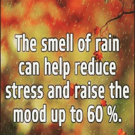 The smell of rain is good for you! | Smell of rain, I love rain, Love rain