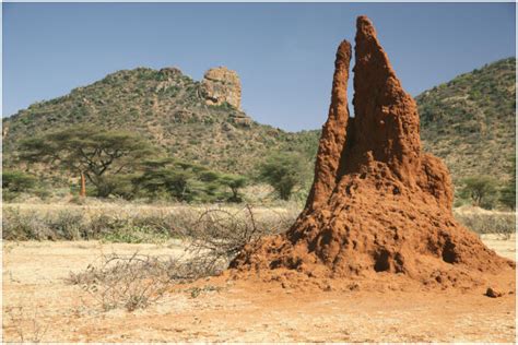 Elevation map of Borena, Ethiopia - Topographic Map - Altitude Map