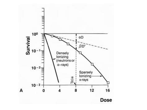 2: Cell survival curves for sparsely and densely ionizing radiation ...