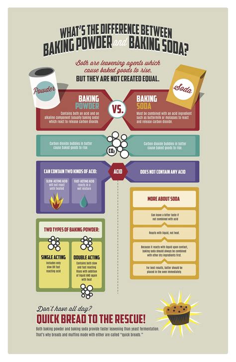 The Difference Between Baking Powder And Baking Soda, In One Simple Chart | HuffPost