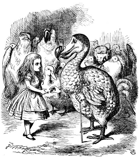 Dodo (Alice's Adventures in Wonderland) - Wikipedia