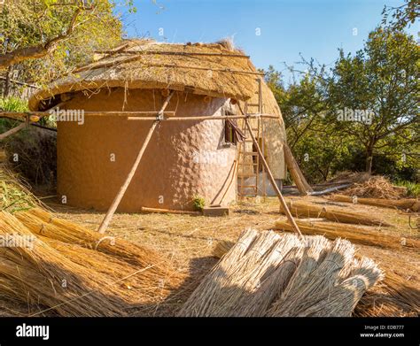 SWAZILAND, AFRICA - Construction of a traditional beehive hut made of ...