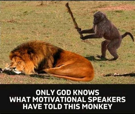 55 Hilarious Barno Memes - Barnorama | Hilarious, Animal quotes, Cool ...