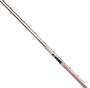 Best Salmon Fishing Rods - TrueBlueFishermen