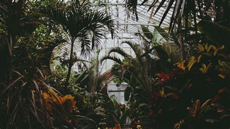 Greenhouse Wallpapers - Top Free Greenhouse Backgrounds - WallpaperAccess