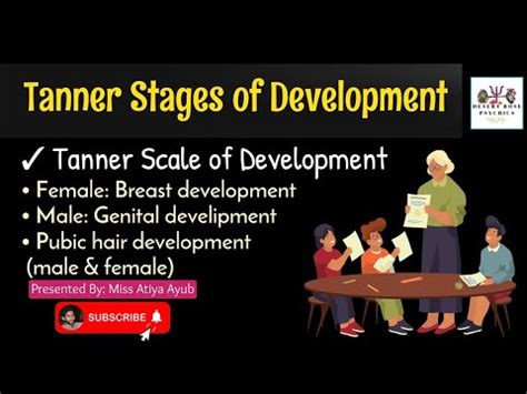 Tanner Stages of Development | in Urdu & Hindi | Tanner Scale - Tanner ...