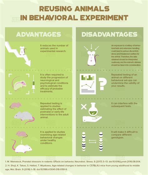 How Many Behavioral Tests Can I Perform on a Single Animal? - Maze Engineers