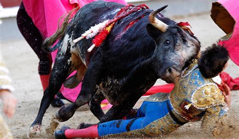 Bull Fighter Gets Gored In Throat And Tongue In His First Fight