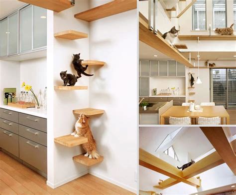 Cat Furniture Design Ideas - Quiet Corner