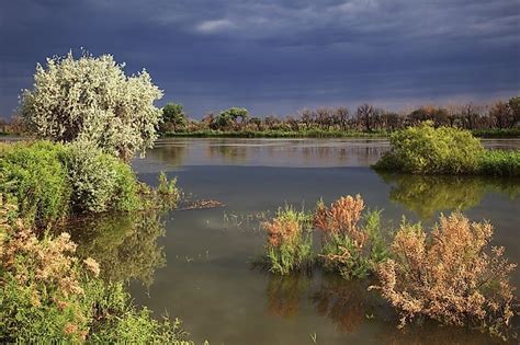 The Syr Darya River - WorldAtlas.com