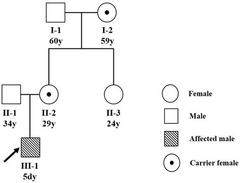 Hemophilia Pedigree