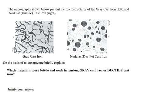 Solved The micrographs shown below present the | Chegg.com