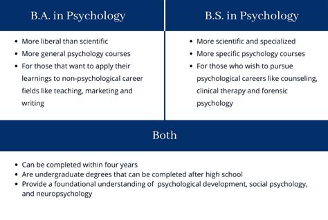 Psychology BA Degree Jobs: A Comprehensive Guide to Career Options ...