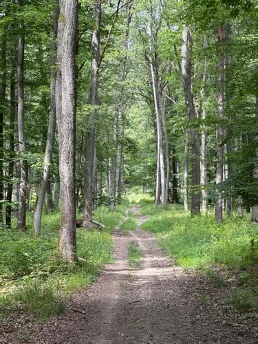 2023 Best 10 Wildlife Trails in Chráněná krajinná oblast (CHKO) Bílé ...