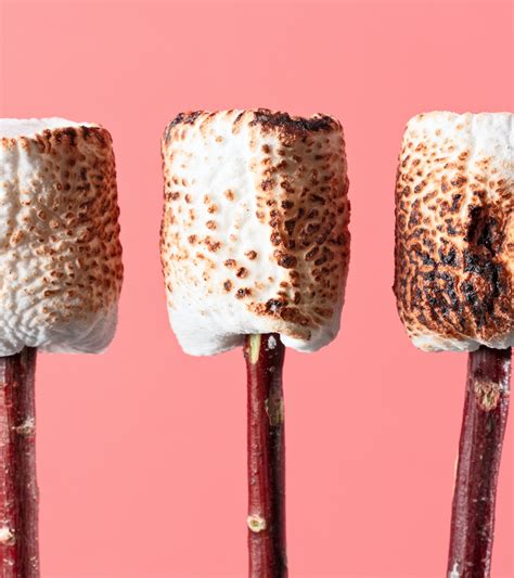 16 Creative Toasted Marshmallow Recipes