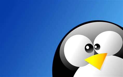 Animated Penguin Wallpapers - Wallpaper Cave