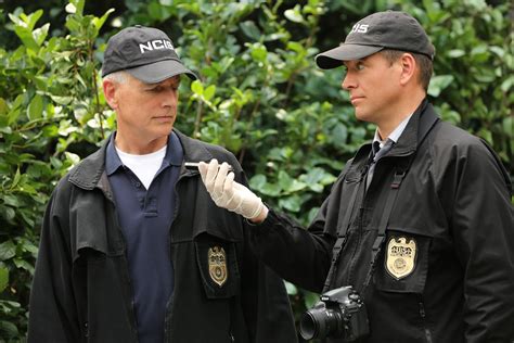 ‘NCIS’: Mark Harmon’s Gibbs and Michael Weatherly’s Tony DiNozzo Might Return, Says Sean Murray