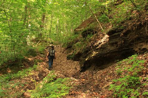 Oil and Gas Drilling: Wayne National Forest | The Wilderness Society