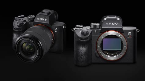 Sony A7R III vs A7 III: resolution versus value, megapixels versus ...