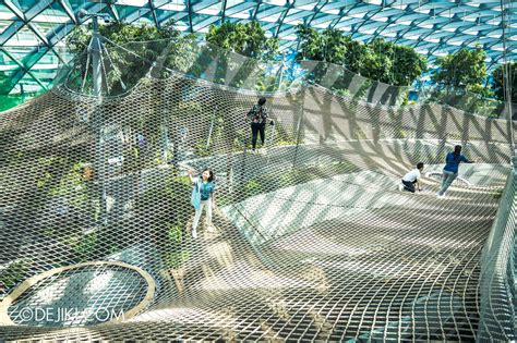 Canopy Park attractions at Jewel Changi Airport | Dejiki.com