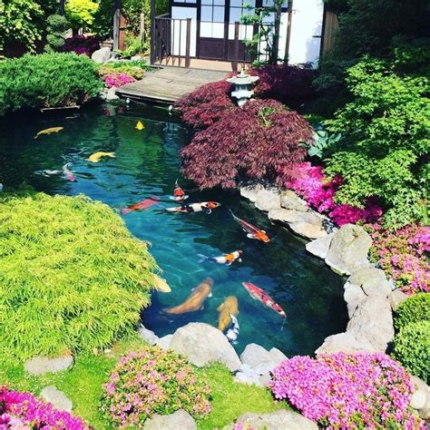 garden koi pond design - Shawnee Binkley