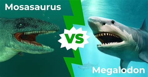 Liopleurodon Vs Megalodon Vs Dunkleosteus