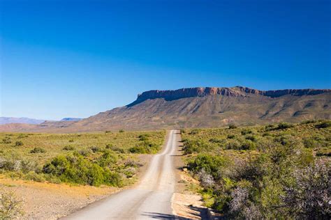 Karoo National Park: The Complete Guide